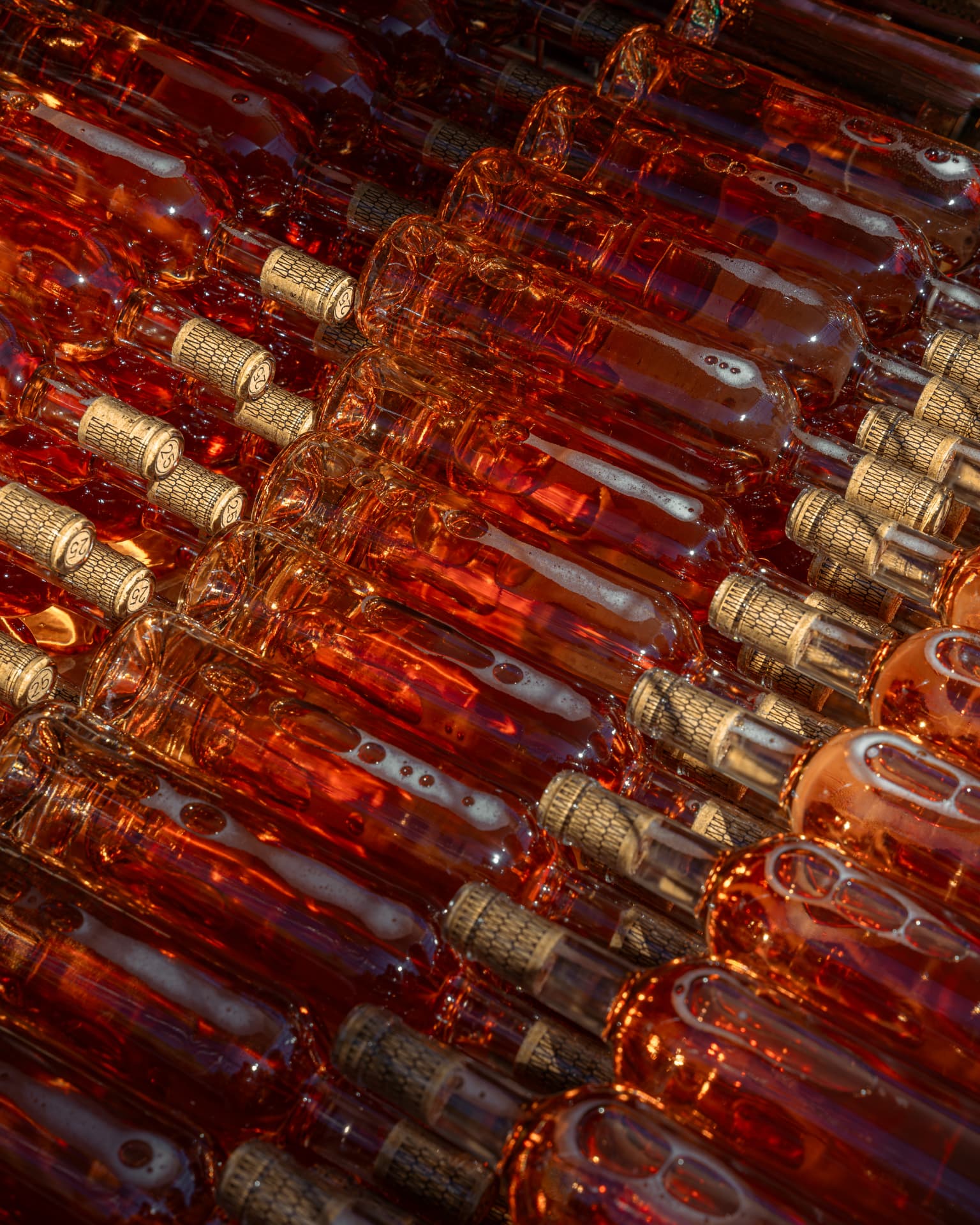 Bouteilles de vin rosé alignées et couchées sur la ligne d'embouteillage, éclairées à contre-jour